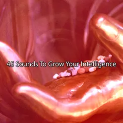 45 Sounds To Grow Your Intelligence