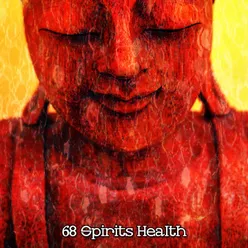 68 Spirits Health