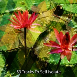 53 Tracks To Self Isolate