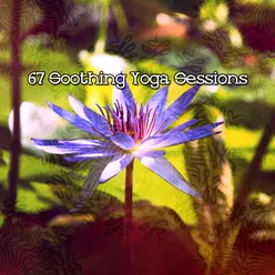 67 Soothing Yoga Sessions