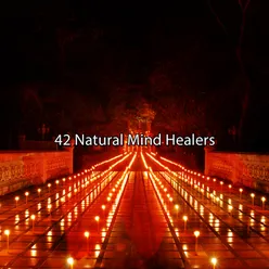 42 Natural Mind Healers