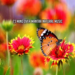 23 Mind Over Mantra Natural Music