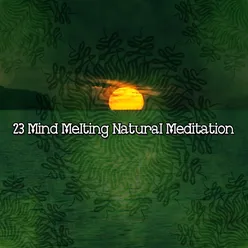23 Mind Melting Natural Meditation