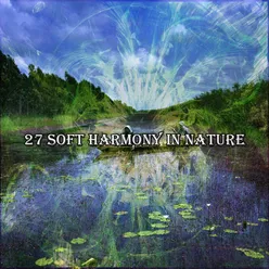 27 Soft Harmony In Nature