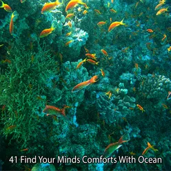 41 Find Your Minds Comforts With Ocean