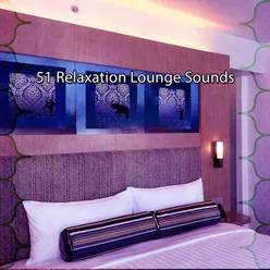 51 Relaxation Lounge Sounds