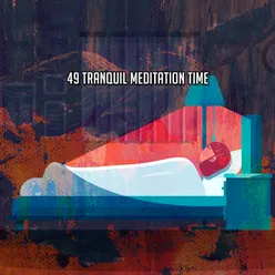 49 Tranquil Meditation Time