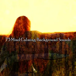 73 Mind Calming Background Sounds