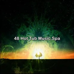 48 Hot Tub Music Spa