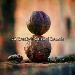 74 Greatly Focussed Sounds