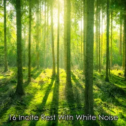 16 Incite Rest With White Noise