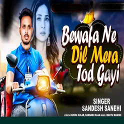 Bewafa Ne Dil Mera Tod Gayi