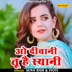 O Diwani Tu Hai Syani (Hindi)