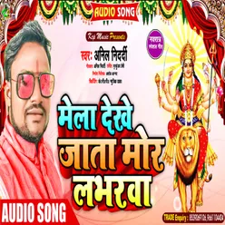 Mela Dekhe Jata Loverwa (Devi Song)