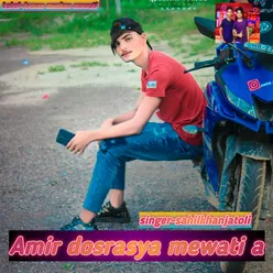 Amir Dosrasya Mewati A