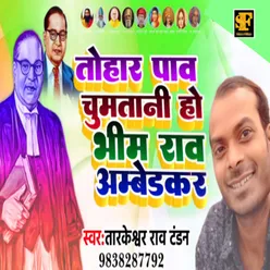 Tohar Pav Chum Tari Ho Baba Bhimrav Ambedkar New  Version Bhim Song