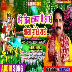 Tere Bin Krishn Hain Aadhe Bolo Raadhe Raadhe Bhojpuri