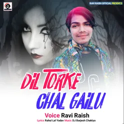 Dil Tor Ke Chal Gailu Bhojpuri