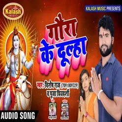 Gaura Ke Dulha Bhakti Song