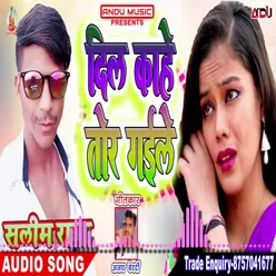 Dil Lagal Ba Hamar Bhojpuri Song