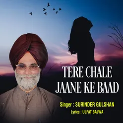 Tere Chale Jaane Ke Baad Panjabi