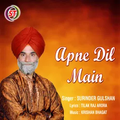 Apne Dil Mein Panjabi