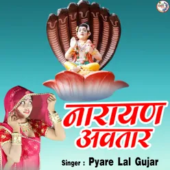 Narayan Awtar Liyo