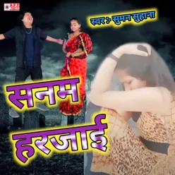 Sanam Harjai Bewafai Song