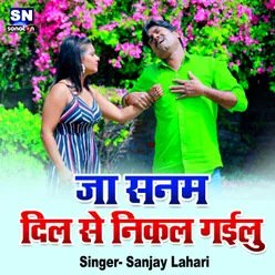 Ja Sanam Dil Se Nikal Gailu Bhojpuri