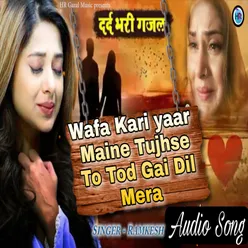 Wafa kari yaar maine tujhse tu tod gaya dil mera