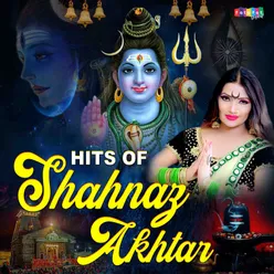 Hits Of Shehnaz Akhtar Hindi