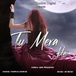 Tu Mera Hai