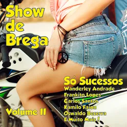 Show de Brega, Vol. 2