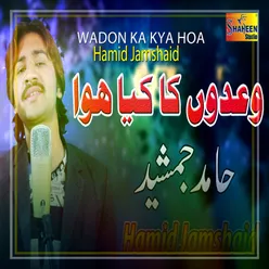 Wadon Ka Kya Hoa - Single