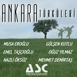 Ankara Türküleri