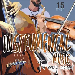 Instrumental Music For Every Moment Vol. 15