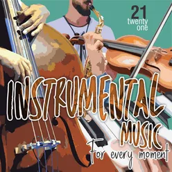 Instrumental Music For Every Moment Vol. 21