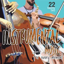 Instrumental Music For Every Moment Vol. 22