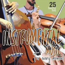 Instrumental Music For Every Moment, Vol. 25