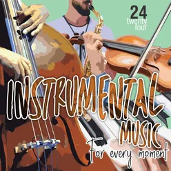 Instrumental Music For Every Moment Vol. 24