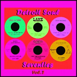Detroit Soul - Seventies, Vol. 2