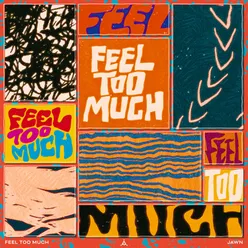 Feel Too Much