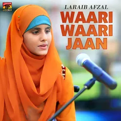 Waari Waari Jaan - Single