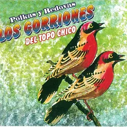 Polkas y Redovas