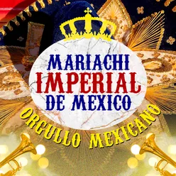 Tema Mariachi Imperial