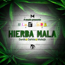 Hierba Mala