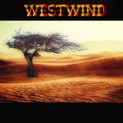 Westwind Instrumental