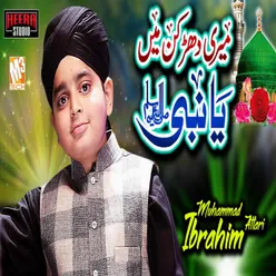 Meri Dharkan Main Ya Nabi - Single