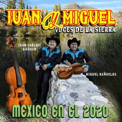 Los Mendoza Violin y Tololoche