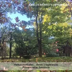 Haikus Musicales... Dones y Esperanzas. Primera Serie: Sabiduría